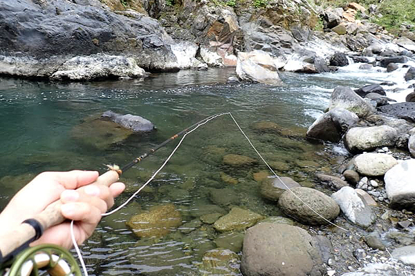 福岡近郊 渓流 フライフィッシング