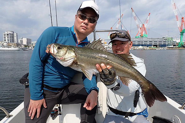 福岡県 博多湾 シーバス フライフィッシング